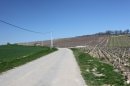 Vignes de Baulne (et non Beaune)